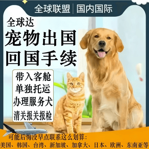 屏东县宠物托运到柬埔寨宠物入境规定和要求