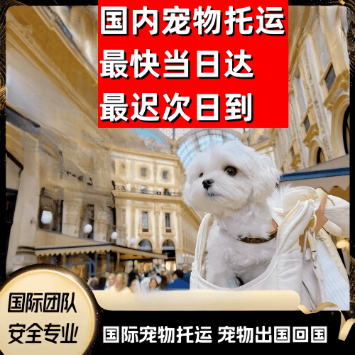 屏东县到澳大利亚（澳洲）宠物入境规定和要求